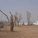 Liberty resident stung by scorpion, transferred to hospital in Baghdad