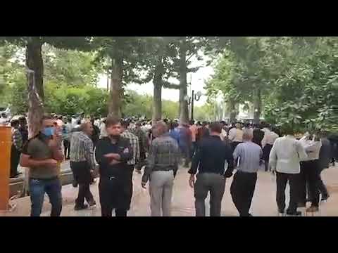 تجمع اعتراضی دامداران شیراز ۱۷ اردیبهشت