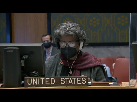 Remarks at a UN Security Council Briefing on Yemen
