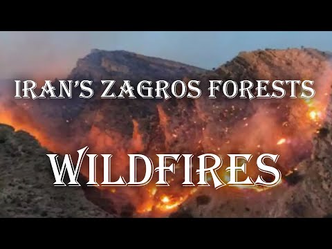Iran&#039;s Zagros forests&#039; wildfires and the authorities response