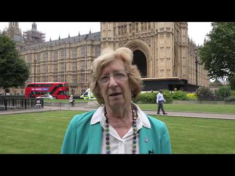 UK&#039;s Baroness Meacher supports &#039;Free Iran&#039; gathering on June 30