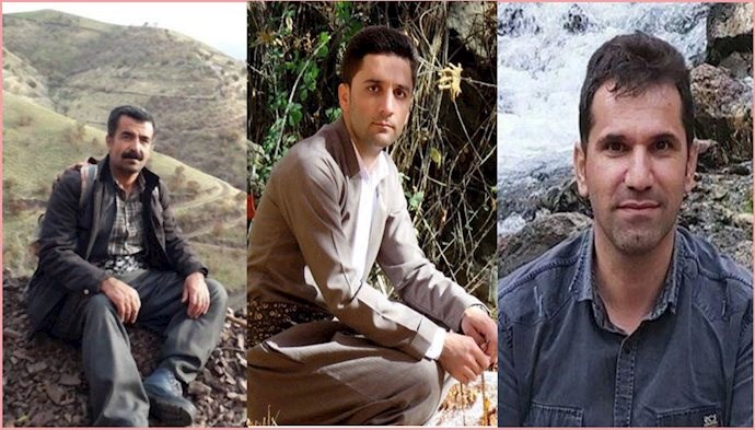 Three-environment-activists-lost-their-lives-fighting-a-local-forest-fire-in-western-Iran