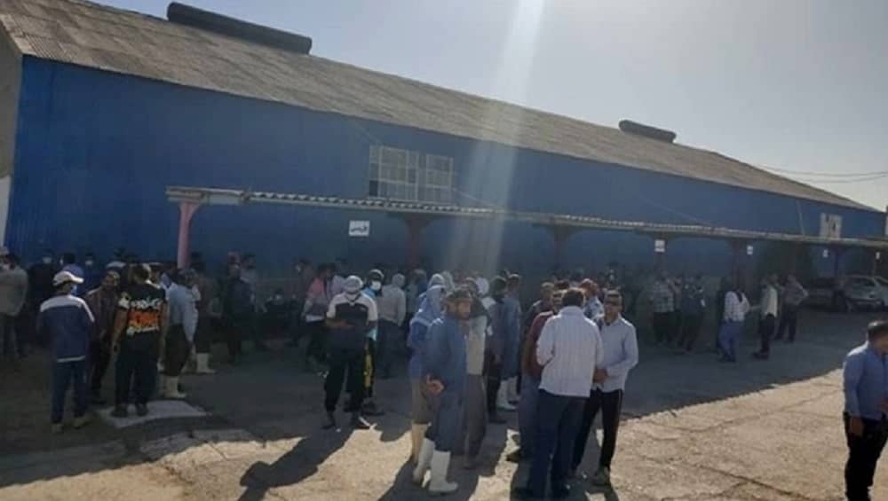 Protests by workers of Haft Tappeh farms