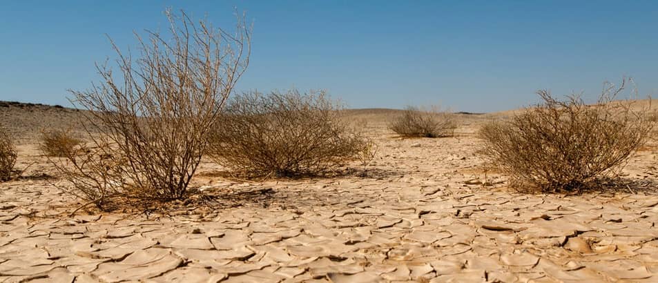 iran-environment-irgc-desertation