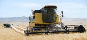 iran-wheat-farming