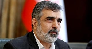 Iranian-regimes-spokesperson-of-the-Atomic-Energy-Agency-Behrooz-Kamalvandi-Copy