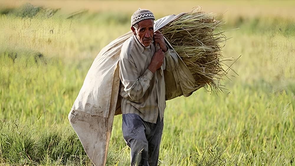 iran farmer agriculture