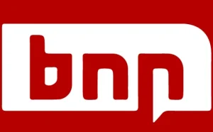 cropped bnn logo