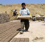 child labor in Iran