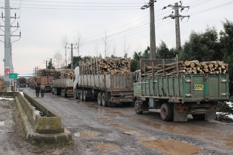 Iran Failing to Address Illegal Wood and Soil Trafficking