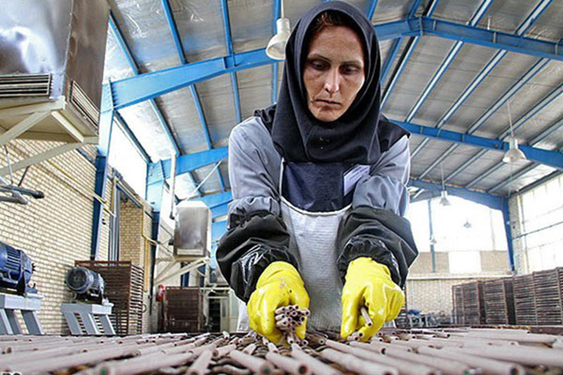 Iran Regime in Denial over Plight of Workers