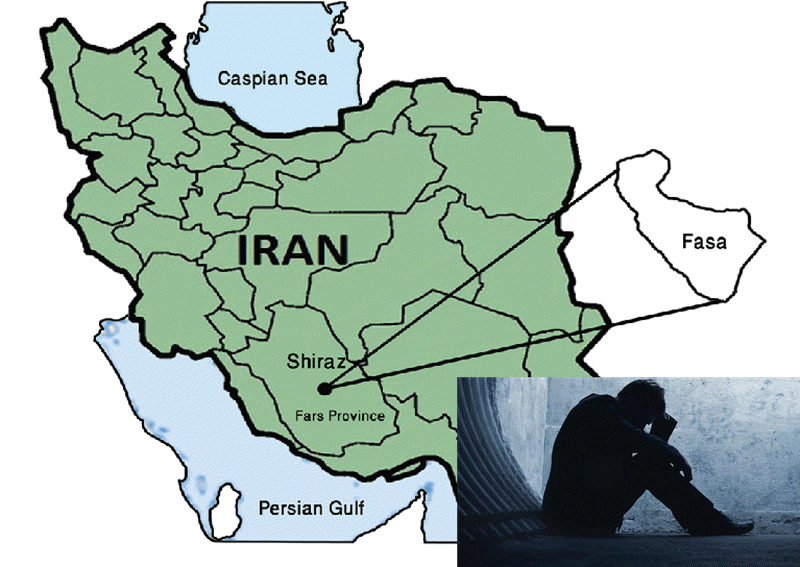 Suicides in Iran's Fars Province Increase by 8%, Official Says