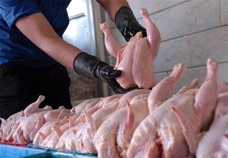 The Price of Poultry in Iran Rises Above 120,000 Rials